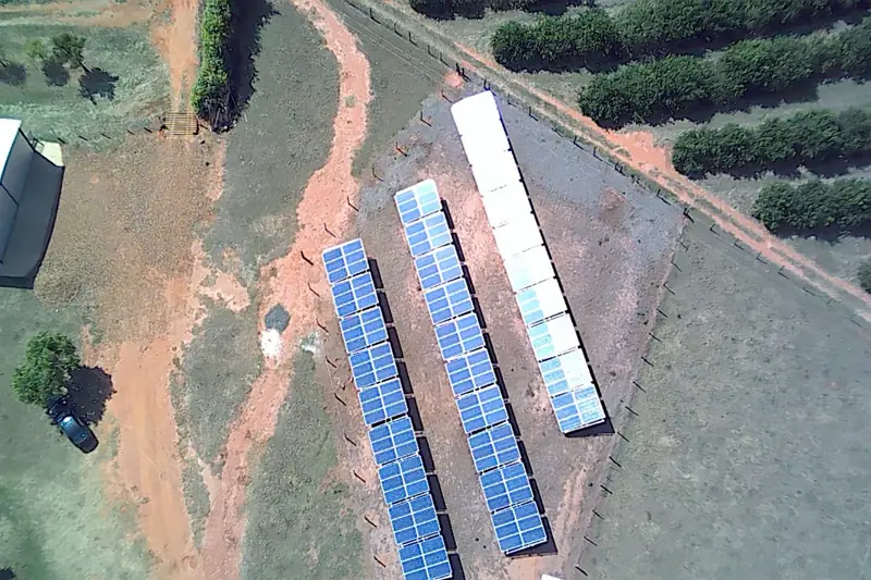 Geração para propriedade com pomar instalado pela Radisol